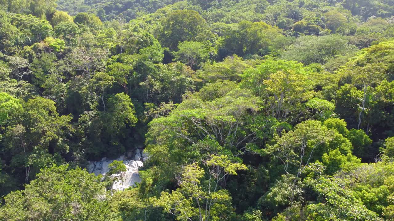 tomada aérea de una pequeña cascada en cascada en la selva del amazonas