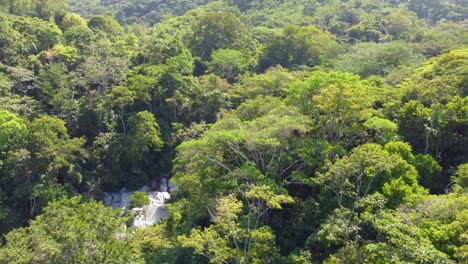 aerial approaching shot of cascading small waterfall stream in jungle of amazon rainforest