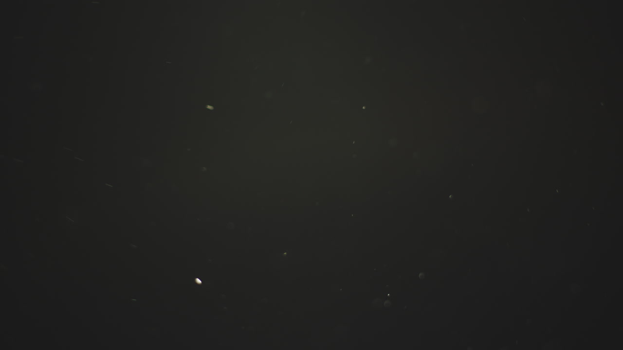 공기 속의 먼지 입자