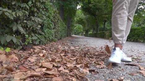 torso masculino completamente enfocado caminando hacia la cámara en el camino con follaje otoñal