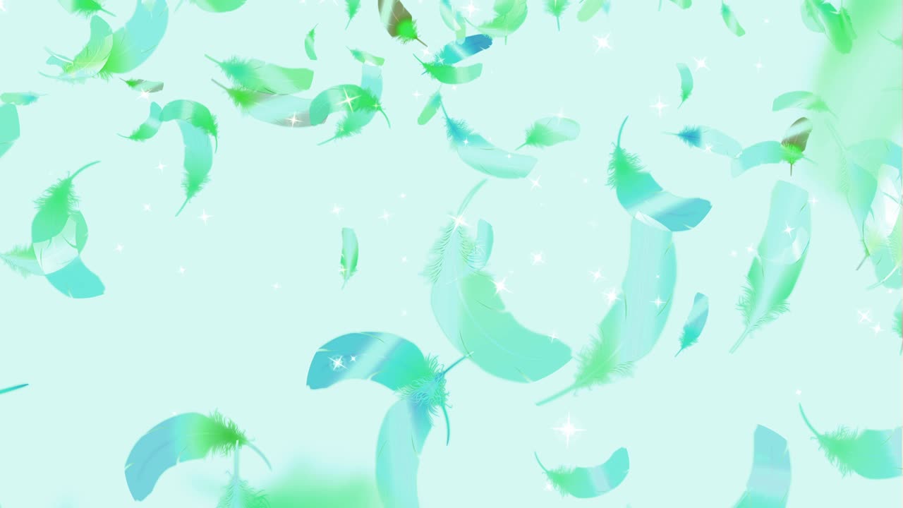 날아다니는 털 [루프]