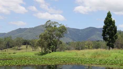 time-lapse of a serene natural landscape