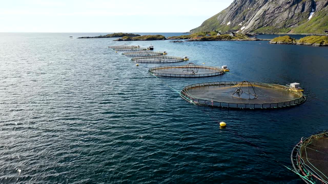 노르웨이에서 연어  ⁇ 시를 하는 공중 촬영