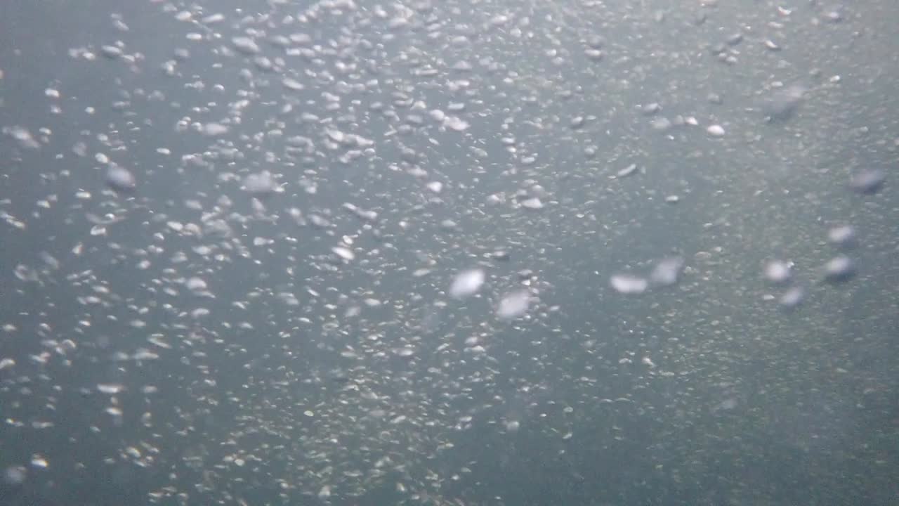 подводная регистрация с высоким разрешением циркуляции пузырьков