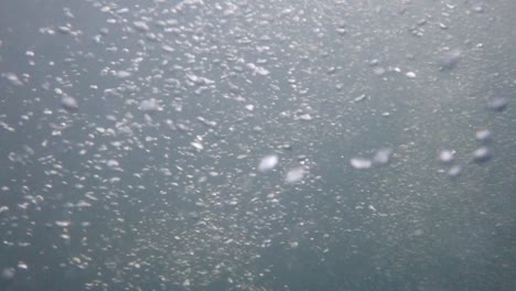 grabación submarina en alta resolución de la circulación de burbujas
