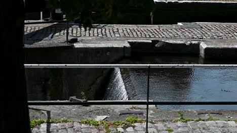 Waterfall-on-the-Regents-Canal-next-to-the-tree,-London,-United-Kingdom