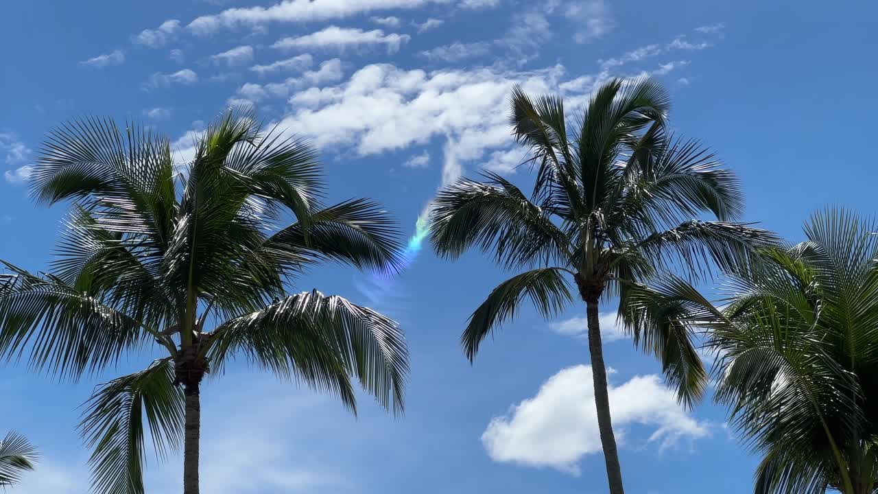 hermosa nube iridiscencia coloridos fenómenos del arco iris en la playa con palmeras de coco