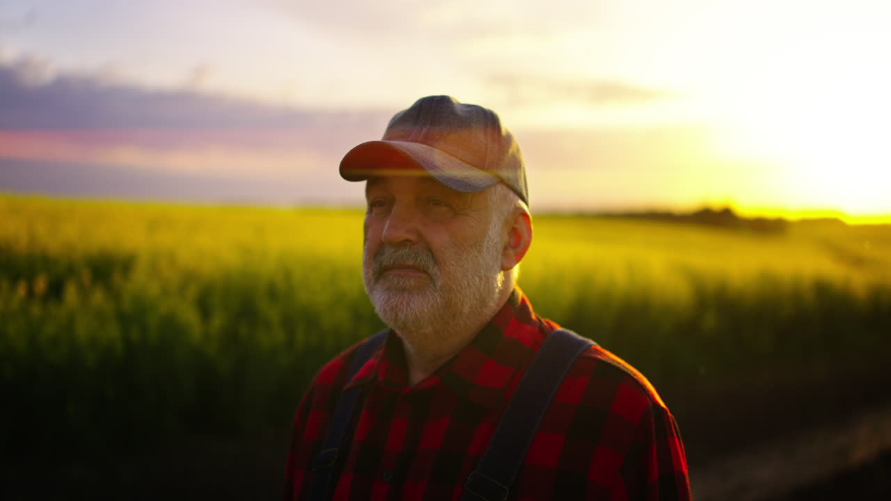 Tankefuld ældre landmand stående på en gylden mark ved solnedgang