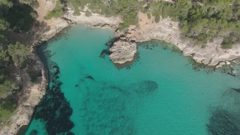 Paisaje-De-Playa-Limpia-Color-Turquesa-En-Cala-Mitjaneta-Verano-España-Viajes-Drone-Aéreo-De-Arriba-Hacia-Abajo-Destino-Costero-Natural