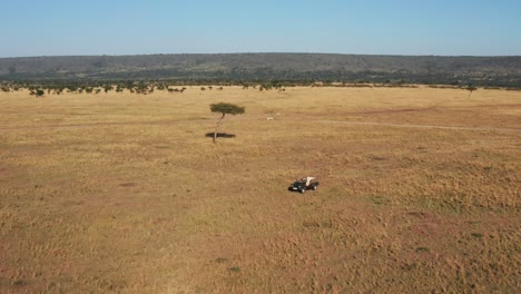 Aerial-drone-shot-of-Wildlife-Photographer-Driving-Safari-Vehicle-in-Maasai-Mara-National-Reserve-Savanna,-Kenya,-Africa-with-Beautiful-Landscape-Scenery-and-Acacia-Trees