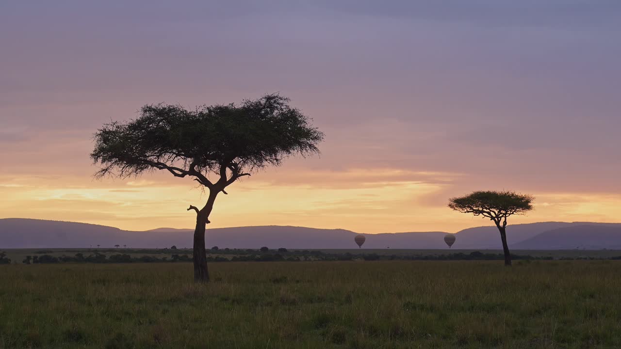 Hot Air Balloon Flight Ride, Flying Over Maasai Mara Savannah Landscape in Africa on Sunrise Ballooning Trip with Amazing Sunset Sky and Clouds, Beautiful Scenery in Unique Travel Experience