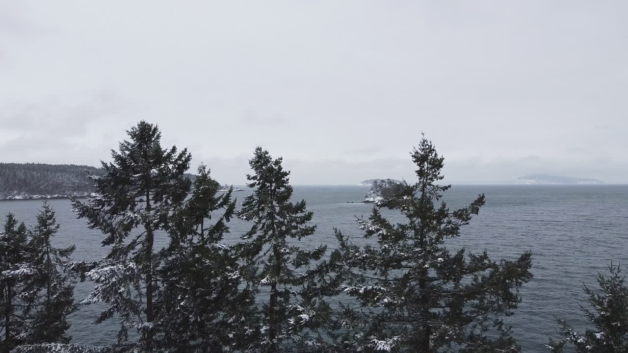 nieve cayendo sobre pinos con islote y mar en el puerto de viernes durante el invierno en la isla de san juan, washington