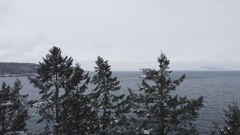 Nieve-Cayendo-Sobre-Pinos-Con-Islote-Y-Mar-En-El-Puerto-De-Viernes-Durante-El-Invierno-En-La-Isla-De-San-Juan,-Washington