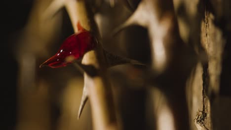 religious concept shot with close up droplet of blood on crown of thorns on wooden cross 1