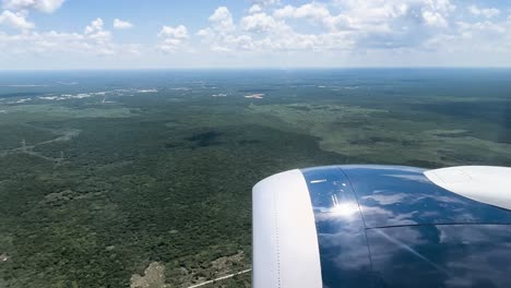 une photo d'un avion atterrissant dans la forêt du yucatan au mexique.