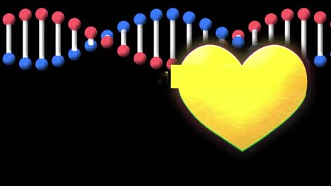 Yellow-heart-icon-and-dna-structure-spinning-against-black-background