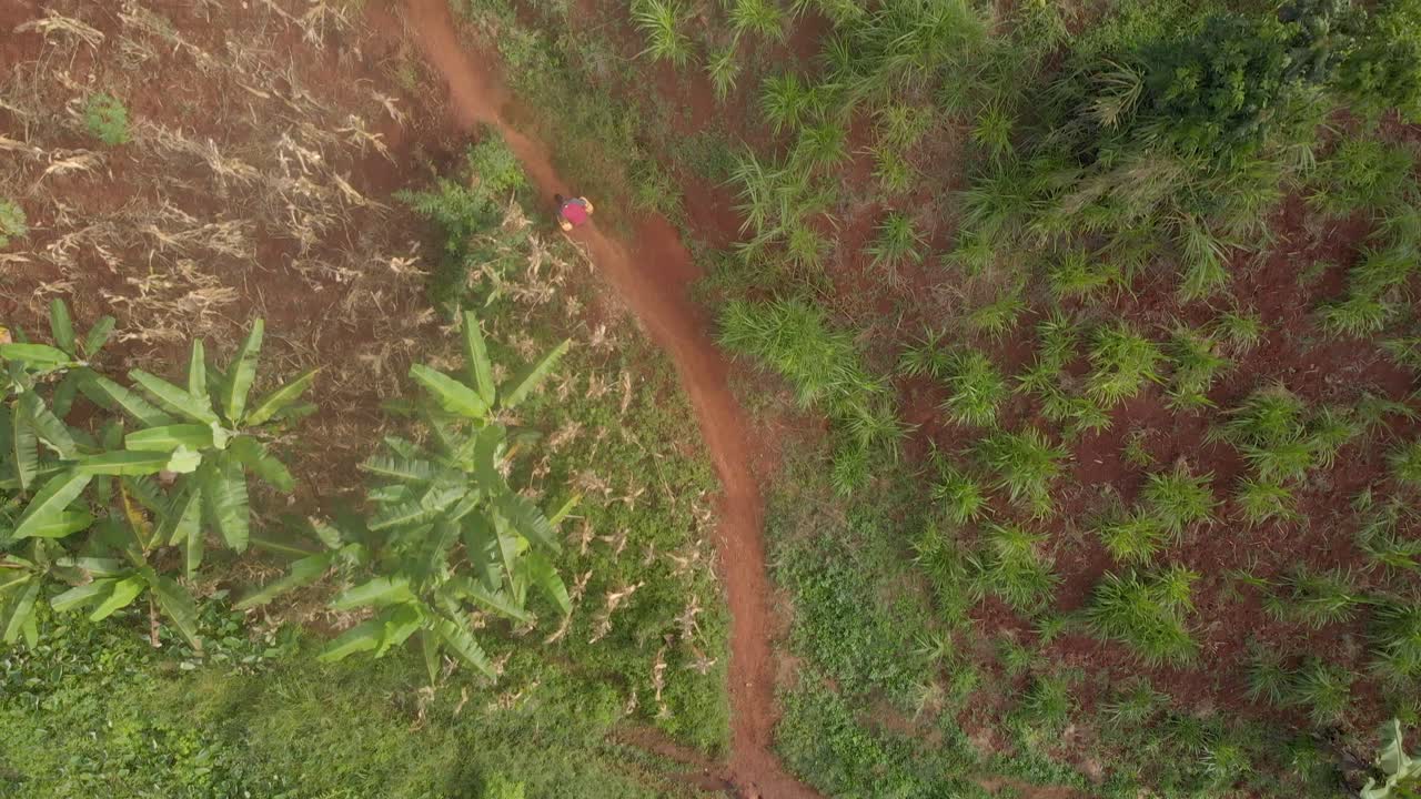 toma aérea a vista de pájaro de un africano llevando bidones de agua amarillos por una pista empinada en el bosque africano