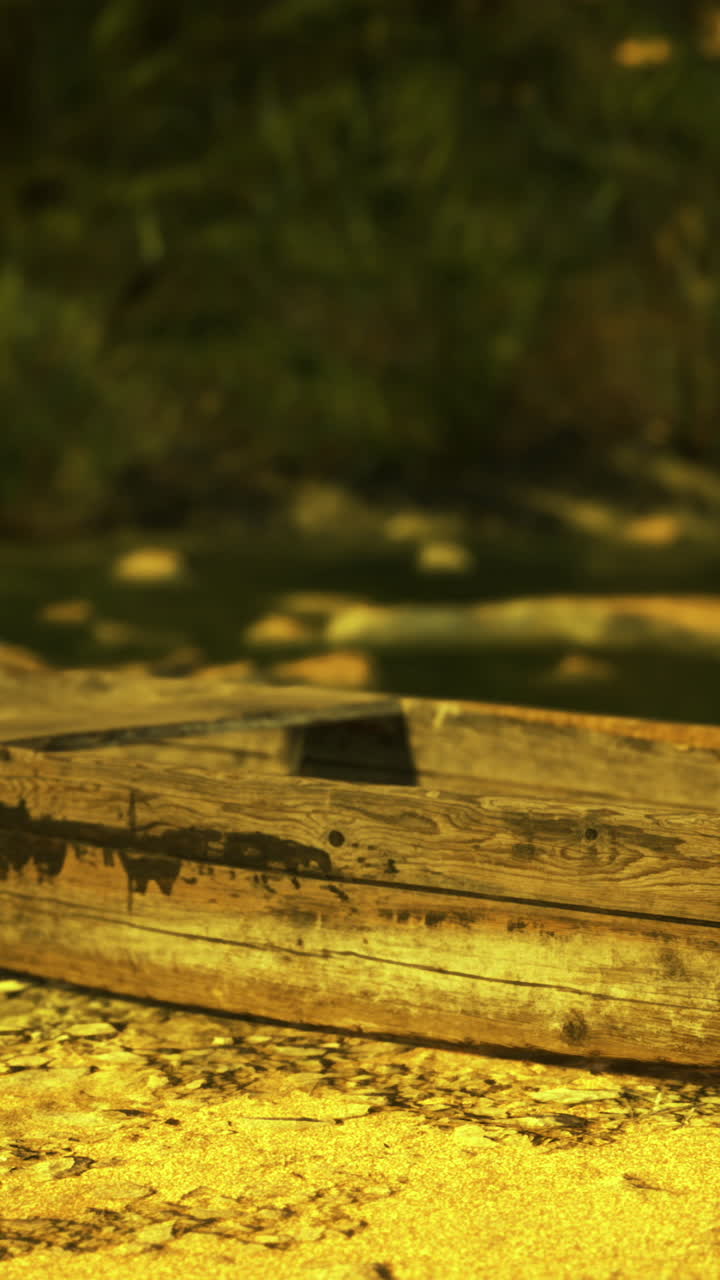 Vecchia barca di legno appoggiata sulla riva, circondata da una vegetazione lussureggiante e dalla luce del sole