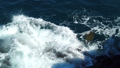 HD-Hawaii-Kauai-slow-motion-static-wide-shot-of-a-barely-visible-sea-turtle-in-swirling-ocean-waves-along-rocky-shore