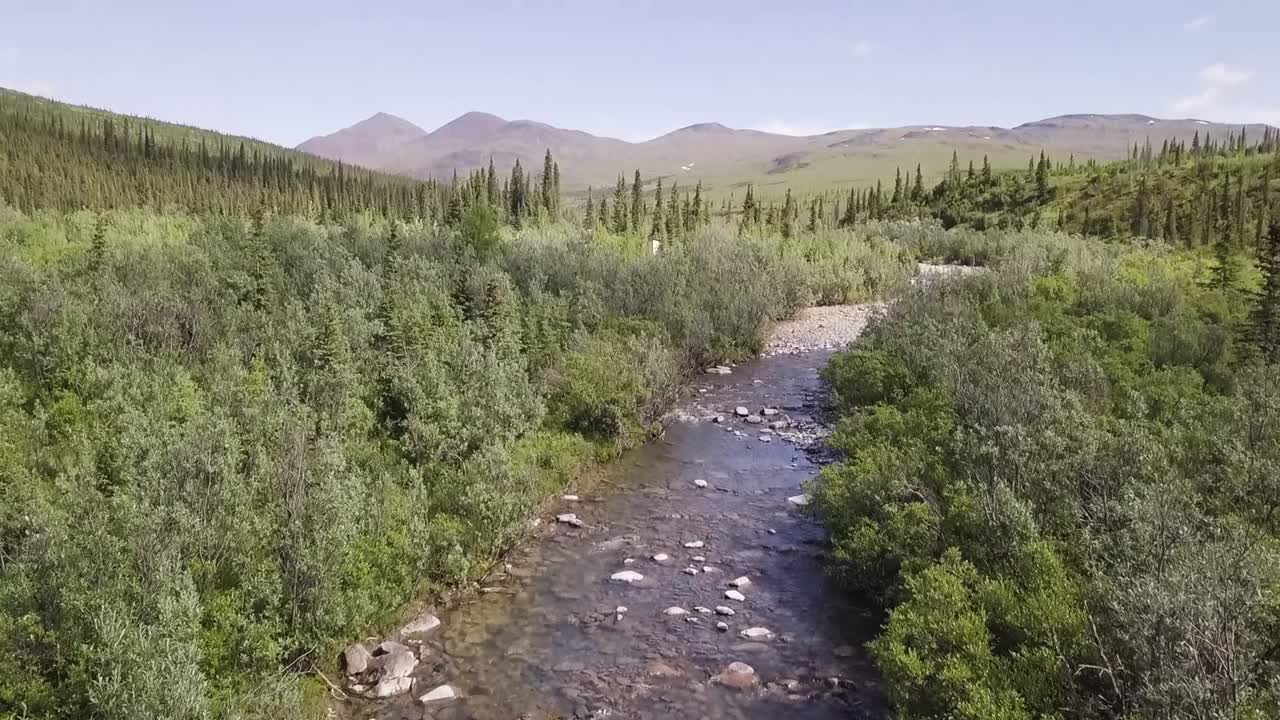una inclinación aérea desde el hermoso arroyo de alaska, mirando a través de la tundra de alaska hacia las montañas blancas