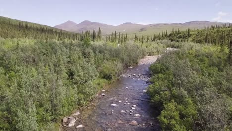 Aerial-tilt-up-from-Beautiful-Clear-Alaskan-Creek,-look-out-across-Alaska-Tundra-towards-the-White-Mountains