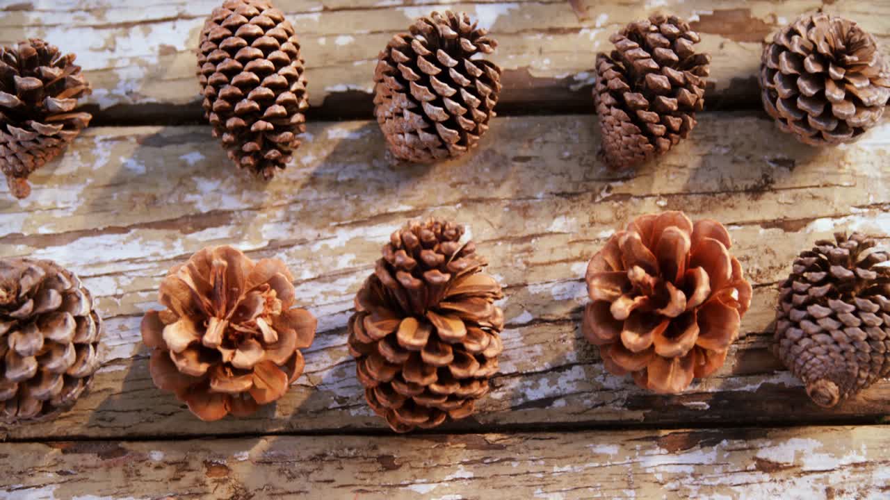 duas mulheres cientistas a trabalhar no laboratório 4k