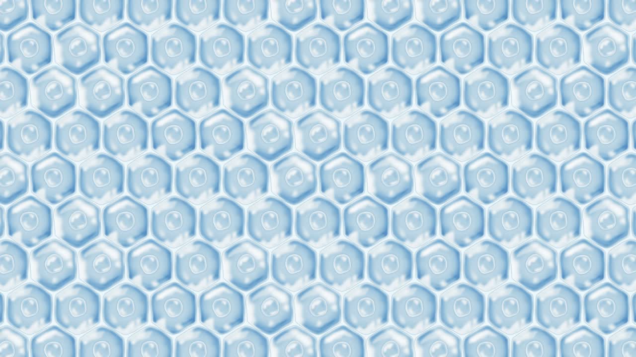 인간 피부 세포: 세포막을 가진 각 세포, 세포 치료, 질병 치료, 핵과 진공, 재생, 루프 애니메이션