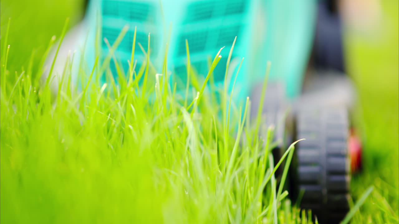 Close up of turquoise lawn mower machine cutting the grass