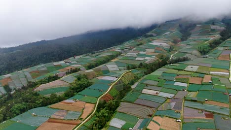 Colorful-plantation-land-plots-of-Indonesia,-aerial-drone-view