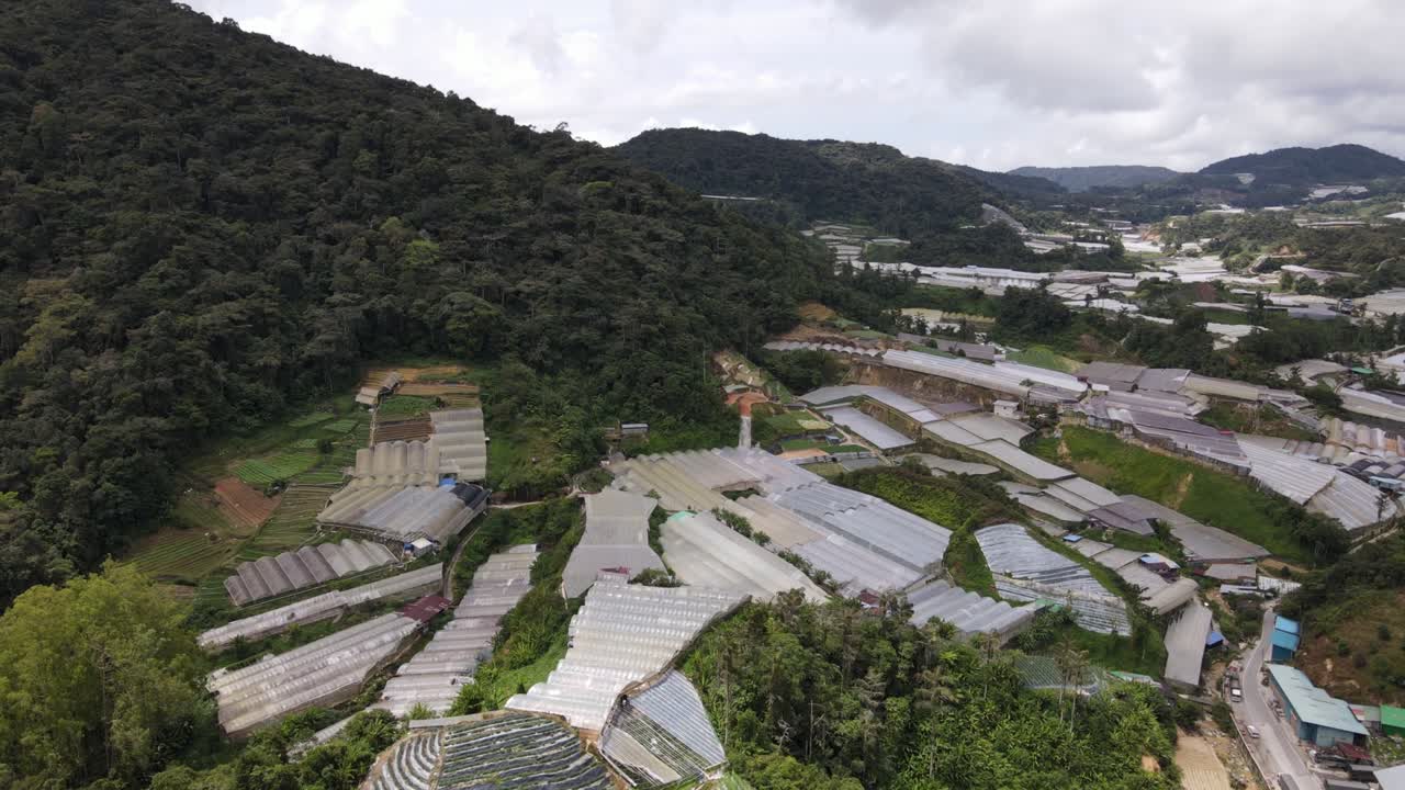 말레이시아의 카메론 하이랜드 지역 내의 브린창 지역의 일반 풍경