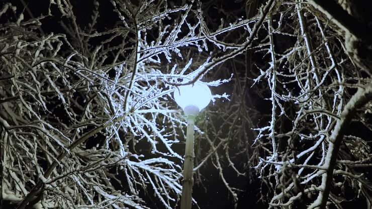 Gatelykt i en park med snødekte, bladløse tregrener