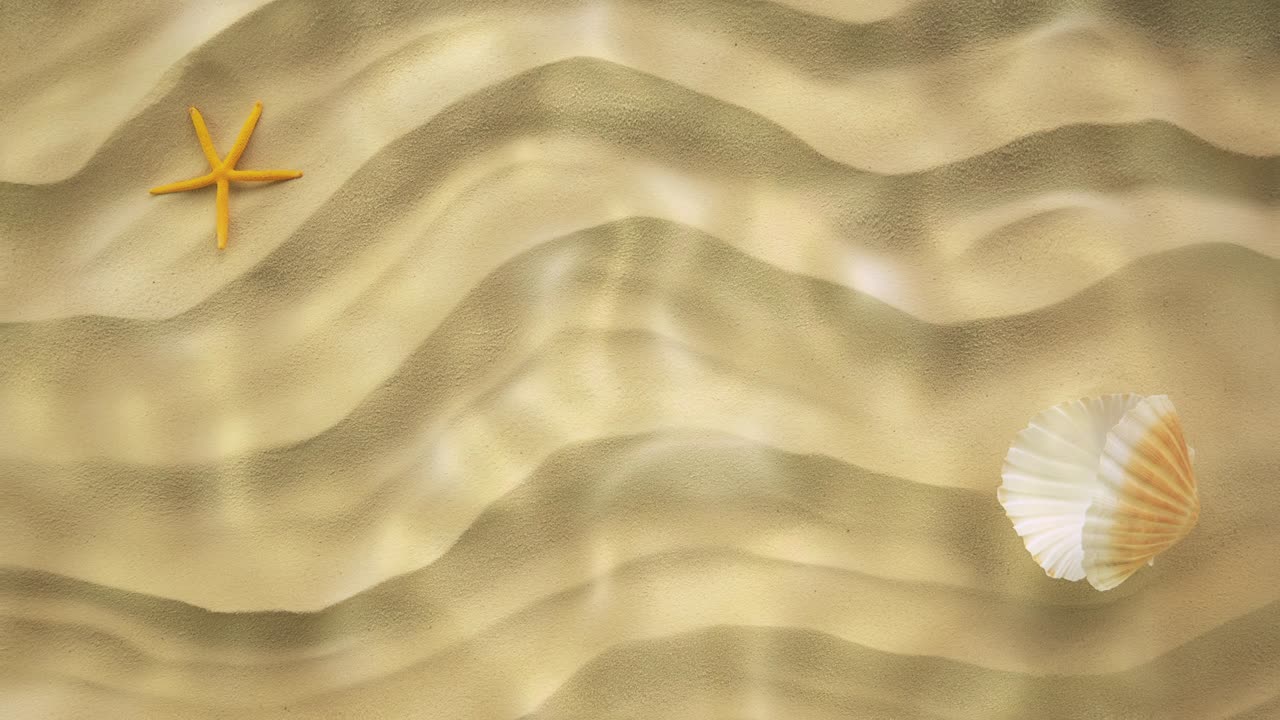 Sandy seabed with seashell and seastar.