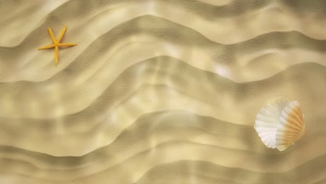 sandy seabed with seashell and seastar.