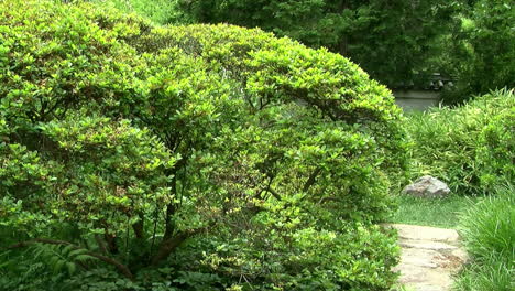 Foques-De-Cámara-Desde-El-Camino-Del-Jardín-Hasta-La-Linterna-De-Piedra-En-El-Jardín-Japonés