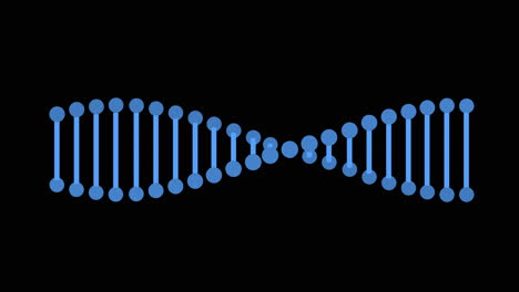 estructura de doble hélice del adn