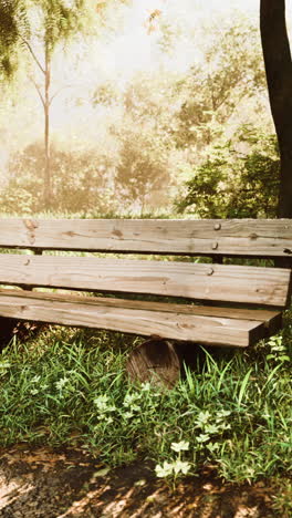 wooden bench in a park