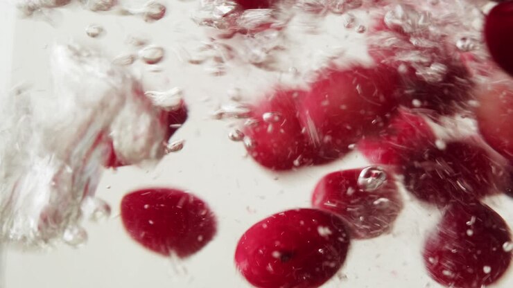 Frozen cranberries in snow for tea, Background Close up of cranberry berries in winter park, ice fridge macro.