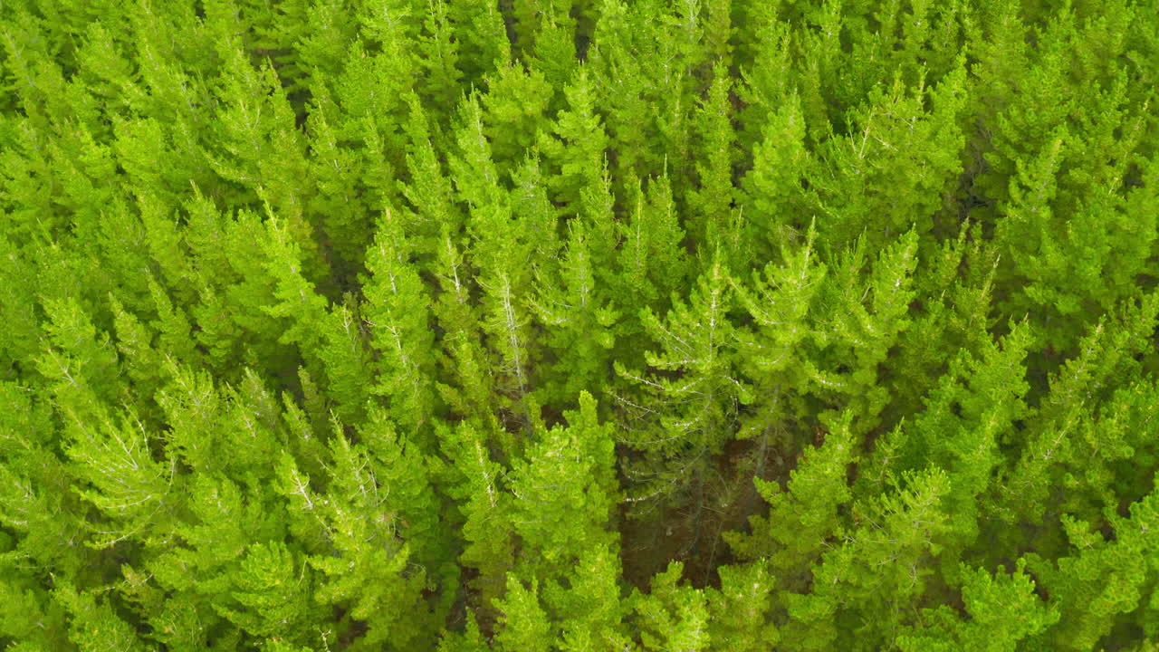 оставайтесь на земле и продолжайте расти