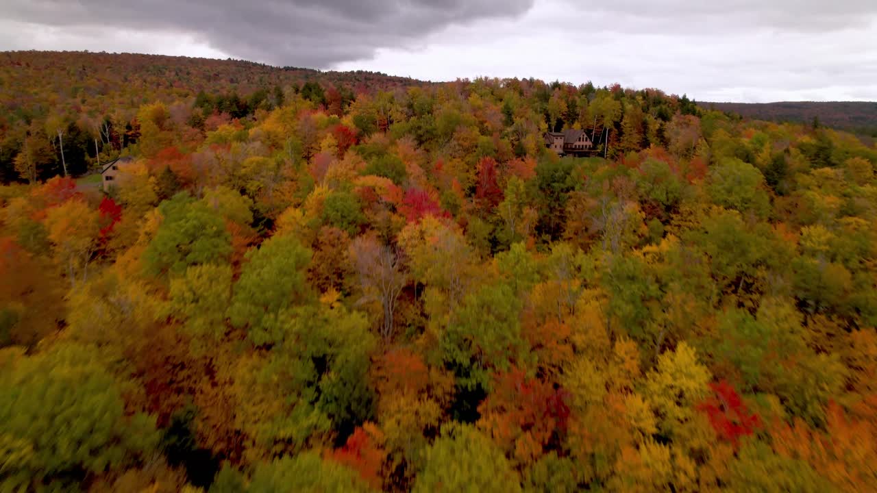 empuje aéreo sobre hojas de otoño coloridas en otoño