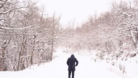 hombre caminando entre árboles desnudos en la naturaleza invernal