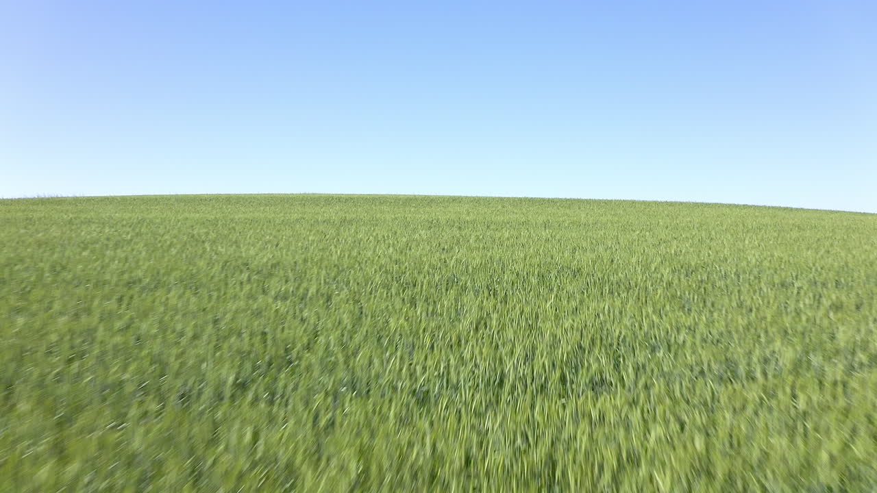 la naturaleza brilla en verde y azul