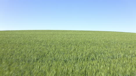 la naturaleza brilla en verde y azul