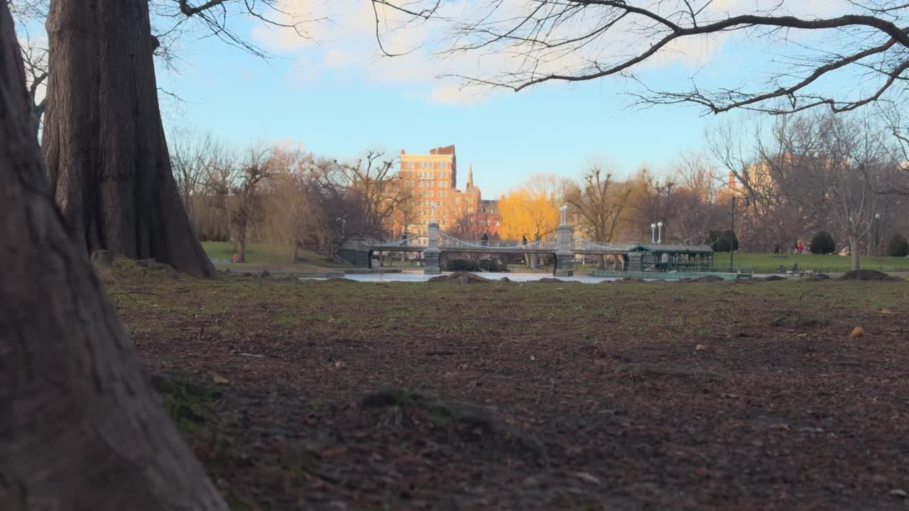 Boston Commons in January 2025 leaves in foreground bridge in back