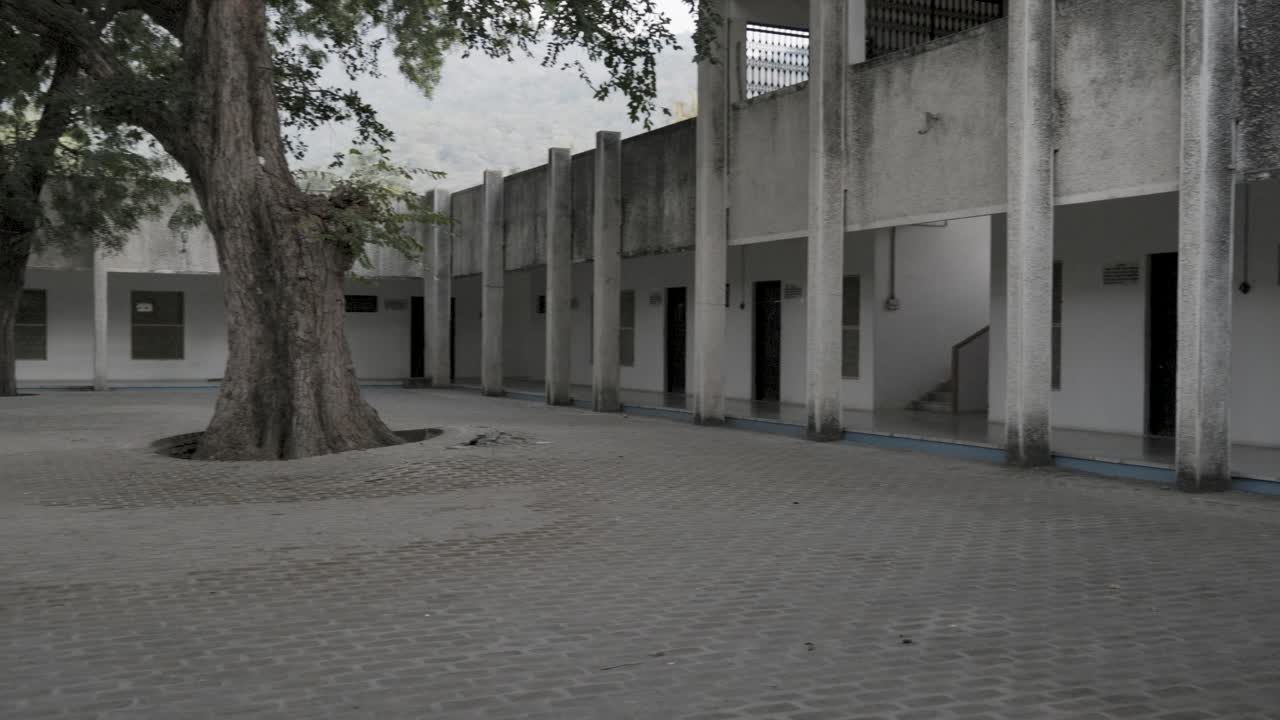 edificio vacío aislado con un árbol grande en el centro durante el día desde un ángulo plano