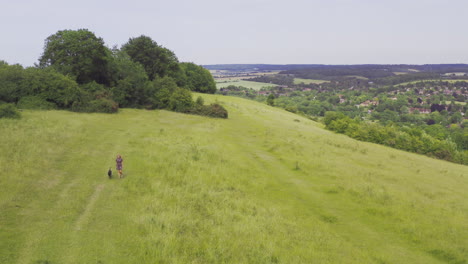 Toma-Aérea-De-Un-Dron-De-Una-Mujer-Paseando-A-Un-Perro-En-Una-Colina-En-El-Campo-De-Verano-Inglés-Reino-Unido-Streatley-Berkshire