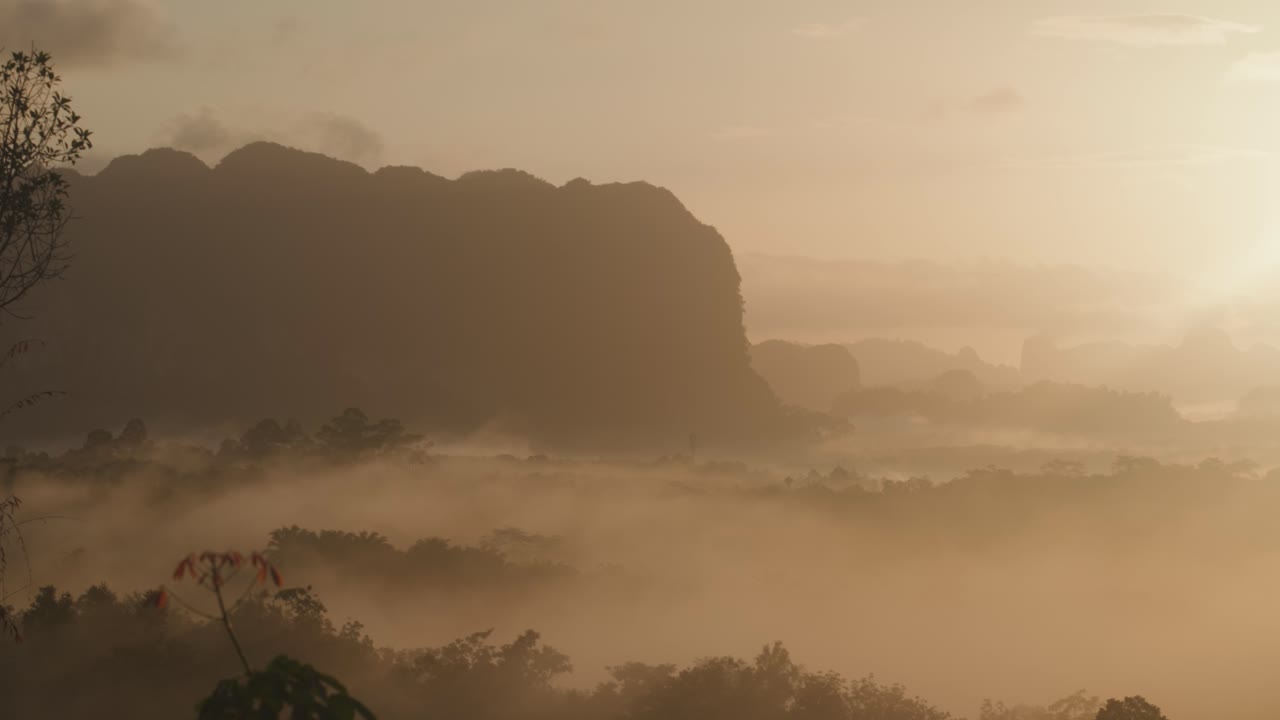 Misty Landscape with Mountains and Trees at Sunrise