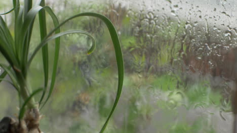 a balcony window is pelted by hail during an intense summer storm