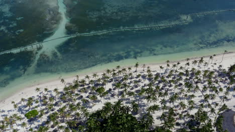 Tropical-Catalonia-Bavaro-beach-coastline-with-palms-in-Caribbean