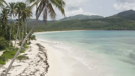 Tropical-Beach-With-White-Sand-And-Turquoise-Water-At-Playa-Rincon-In-Dominican-Republic---drone-shot