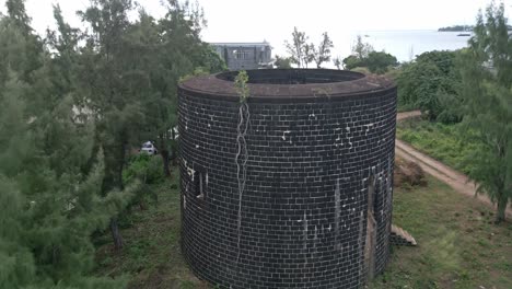 mauritius - riviere noire - ascending view on martelo tower